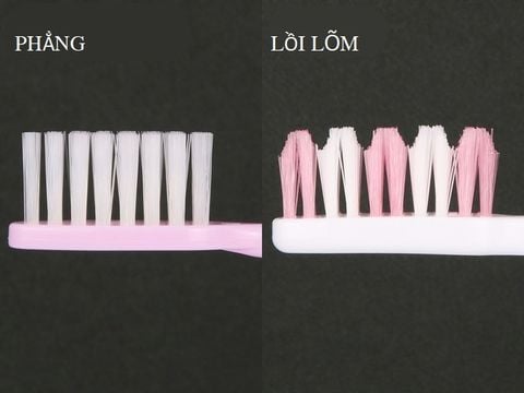 Những loại bàn chải đánh răng phổ biến và cách chọn phù hợp